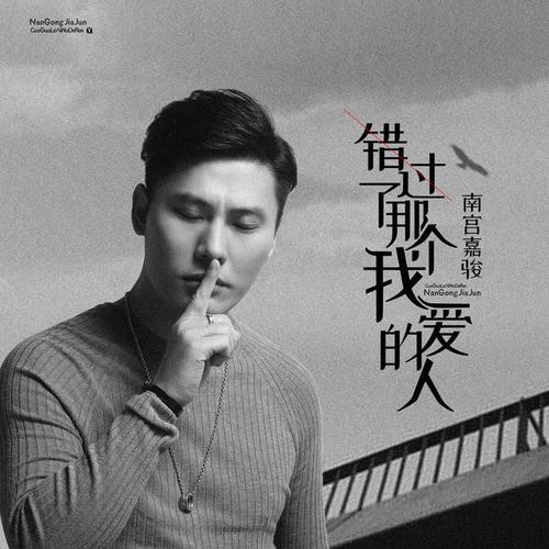 南宫嘉骏歌曲错过了那个爱我的人mp3音乐LRC歌词下载