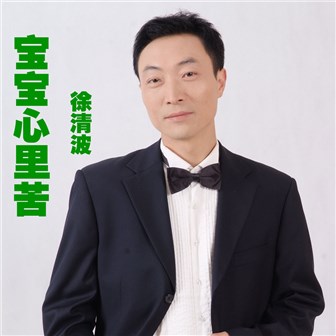 徐清波《宝宝心里苦》MP3音乐歌词下载 宝宝心里苦专辑