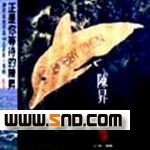 cs《20岁的眼泪》MP3音乐歌词下载 风筝专辑