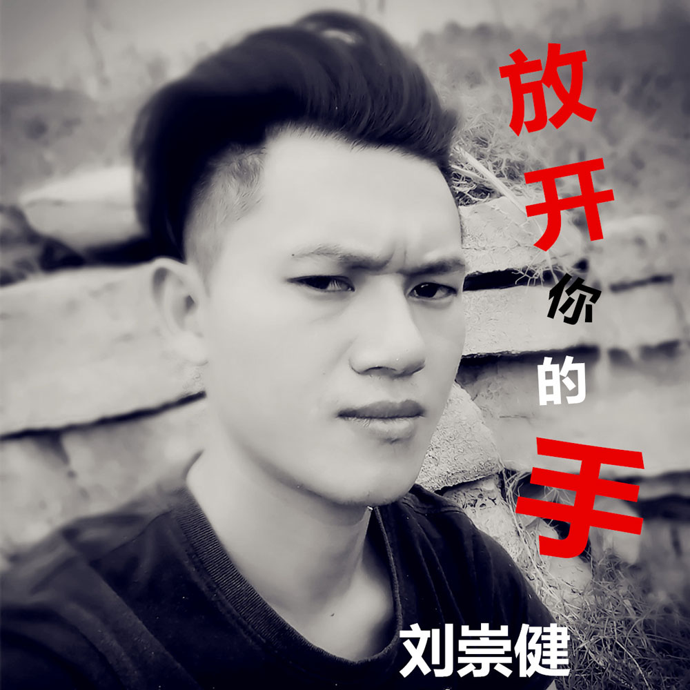 刘崇健《放开你的手》MP3音乐歌词下载 放开你的手专辑