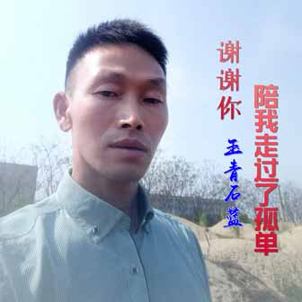 玉青石蓝《谢谢你陪我走过了孤单》MP3音乐歌词下载 谢谢你陪我走过了孤单专辑