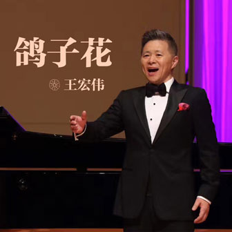 王宏伟《红玫瑰》MP3音乐歌词下载 鸽子花专辑