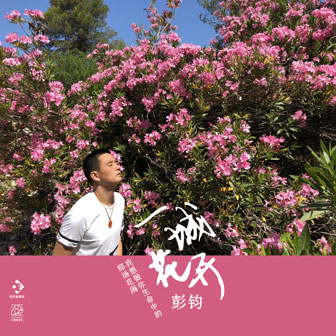 彭钧《一城花开》MP3音乐歌词下载 一城花开专辑