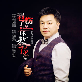 男人海洋《我伤了心你放了手》MP3音乐歌词下载 我伤了心你放了手专辑