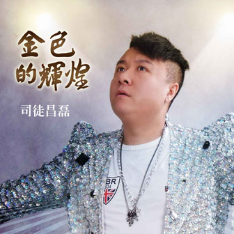 司徒昌磊《梦幻天使》MP3音乐歌词下载 金色的辉煌专辑