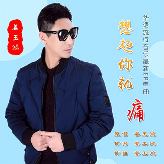 姜玉鸿《想起你就痛》MP3音乐歌词下载 想起你就痛专辑