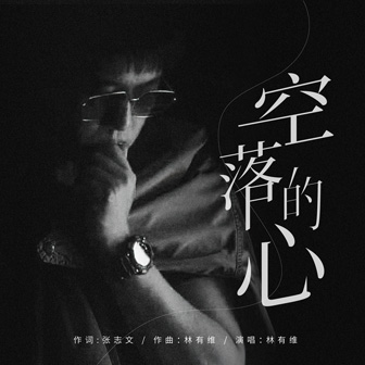 林有维《空落的心》MP3音乐歌词下载 空落的心专辑