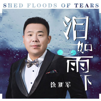 徐新军《泪如雨下》MP3音乐歌词下载 泪如雨下专辑