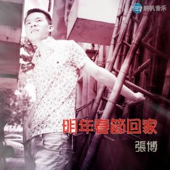 张博《明年春节我回家》MP3音乐歌词下载 明年春节我回家专辑