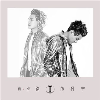 陈柯宇《许一个未来》MP3音乐歌词下载 真·套路专辑