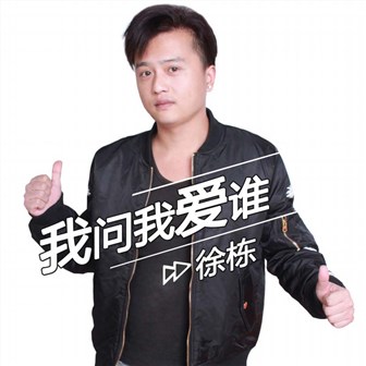 徐栋《我问我爱谁》MP3音乐歌词下载 我问我爱谁专辑