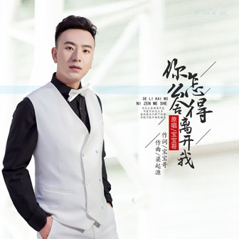 宝宝哥《你怎么舍得离开我》MP3音乐歌词下载 你怎么舍得离开我专辑