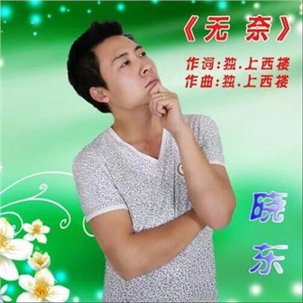 晓东《无奈》MP3音乐歌词下载 无奈专辑