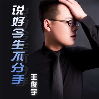 王俊宇《说好今生不分手》MP3音乐歌词下载 说好今生不分手专辑