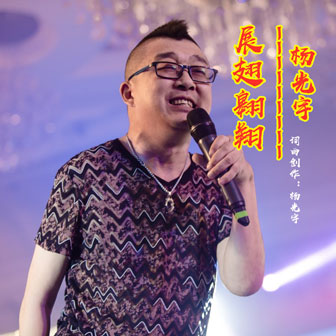 杨光宇《展翅翱翔》MP3音乐歌词下载 展翅翱翔专辑