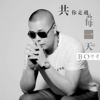 BO辉哥《共你走过的每一天》MP3音乐歌词下载 共你走过的每一天专辑