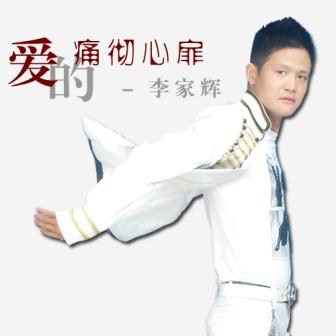 李家辉《爱的痛彻心扉》MP3音乐歌词下载 爱的痛彻心扉专辑