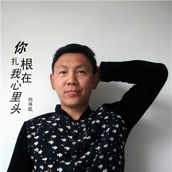 刘书凯《你扎根在我心里头》MP3音乐歌词下载 你扎根在我心里头专辑