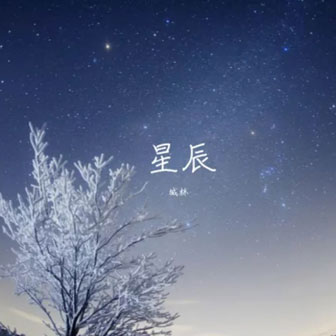 城林《星辰》MP3音乐歌词下载 星辰专辑