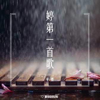 辛哲《我的爱得不到你的心》MP3音乐歌词下载 婷第一首歌专辑