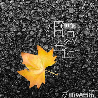 王恒争《相识至止》MP3音乐歌词下载 相识至止专辑