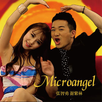 张智勇《Microangel – 张智勇&谢紫林》MP3音乐歌词下载 Microangel专辑