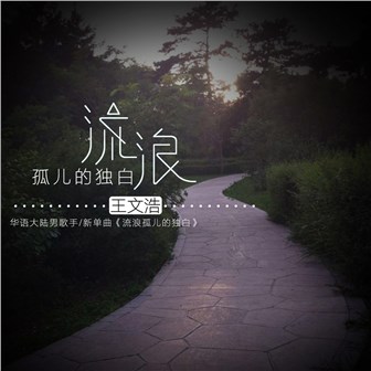 王文浩《流浪孤儿的独白》MP3音乐歌词下载 流浪孤儿的独白专辑