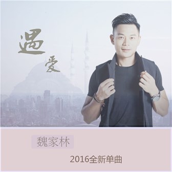 魏家林《遇爱》MP3音乐歌词下载 遇爱专辑