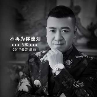 飞龙《不再为你流泪》MP3音乐歌词下载 不再为你流泪专辑