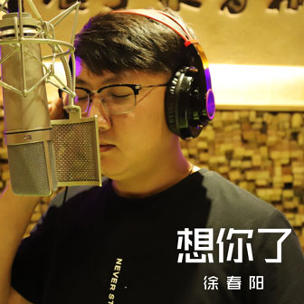 徐春阳《想你了》MP3音乐歌词下载 想你了专辑