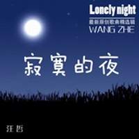 汪哲《等到何年何月》MP3音乐歌词下载 寂寞的夜专辑