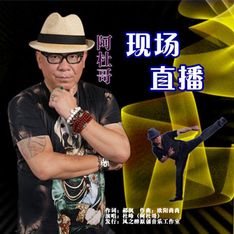 杜峰《现场直播》MP3音乐歌词下载 现场直播专辑