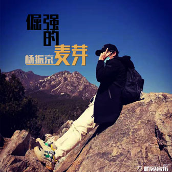 杨振京《我们的故事》MP3音乐歌词下载 倔强的麦芽专辑