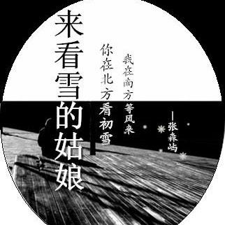 张森屿《来看雪的姑娘》MP3音乐歌词下载 来看雪的姑娘专辑