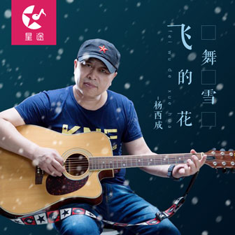 杨西成《姐姐》MP3音乐歌词下载 飞舞的雪花专辑