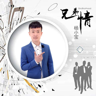 杨小宝《兄弟情》MP3音乐歌词下载 兄弟情专辑