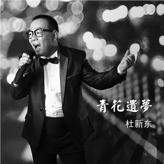 杜新东《青花遗梦》MP3音乐歌词下载 青花遗梦专辑