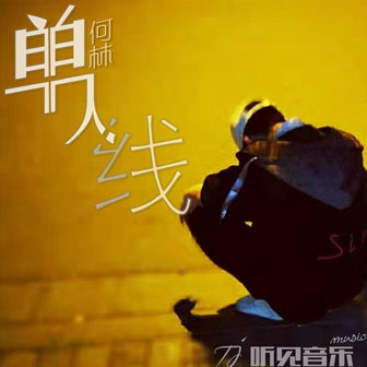 何林《我只想和你走一天》MP3音乐歌词下载 枫叶专辑