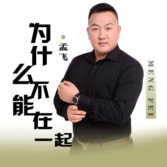 孟飞《为什么不能在一起》MP3音乐歌词下载 为什么不能在一起专辑