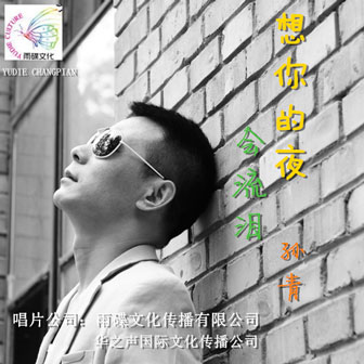 孙青《想你的夜会流泪》MP3音乐歌词下载 想你的夜会流泪专辑