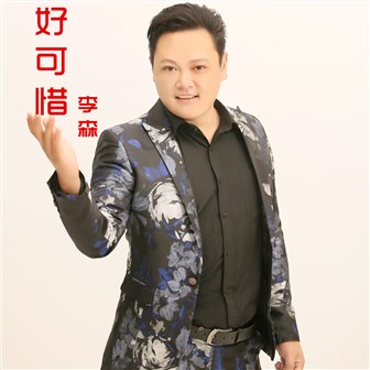 李森《好可惜》MP3音乐歌词下载 好可惜专辑