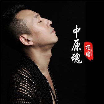 杨瞻《中原魂》MP3音乐歌词下载 中原魂专辑