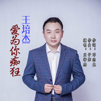 王培杰《爱为你痴狂》MP3音乐歌词下载 爱为你痴狂专辑