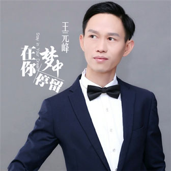 王元峰《在你梦中停留》MP3音乐歌词下载 在你梦中停留专辑