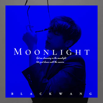 王向黎《Moonlight》MP3音乐歌词下载 Moonlight专辑