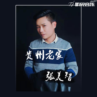 张美智《贵州老家》MP3音乐歌词下载 贵州老家专辑