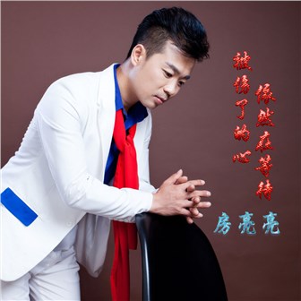 房亮亮《被伤了的心依然在等待》MP3音乐歌词下载 被伤了的心依然在等待专辑