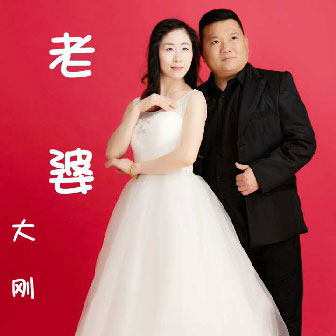 大刚《老婆》MP3音乐歌词下载 老婆专辑