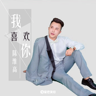 陈维高《我喜欢你》MP3音乐歌词下载 我喜欢你专辑