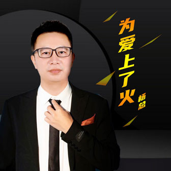 杨总《为爱上了火》MP3音乐歌词下载 为爱上了火专辑